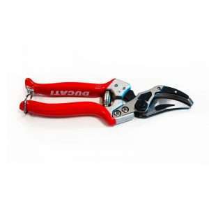 tijera ducati dps6