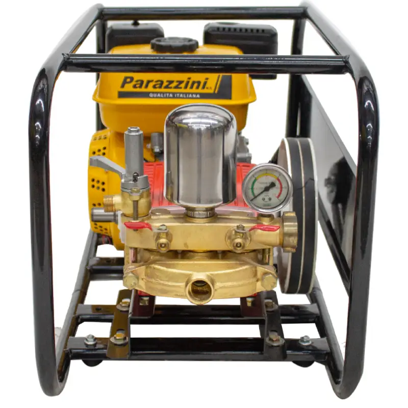 parihuela-parazzini-pp7b-3 parihuela parazzini pp7b 3