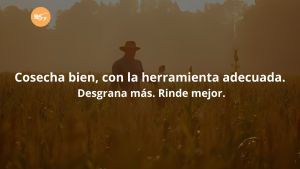 Desgranadora a gasolina para cosecha eficiente de maíz Desgranadora de maíz a gasolina operando en campo durante la cosecha